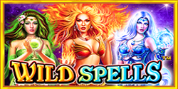 Wild Spells Game